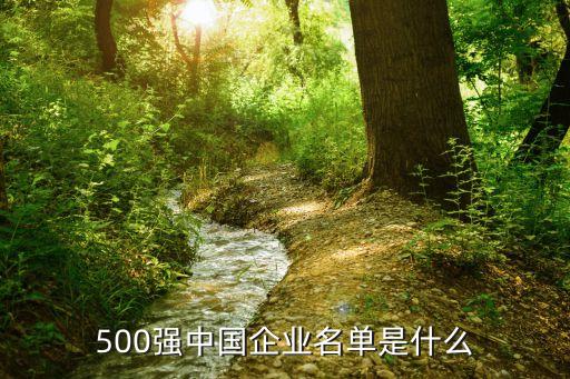 500強(qiáng)中國企業(yè)名單是什么