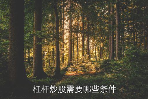 杠桿股票儲(chǔ)蓄,股票杠桿平臺(tái)軟件有哪些