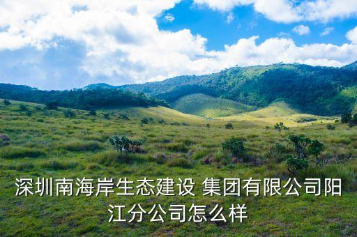 深圳南海岸生態(tài)建設 集團有限公司陽江分公司怎么樣