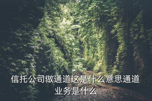  信托公司做通道這是什么意思通道 業(yè)務(wù)是什么