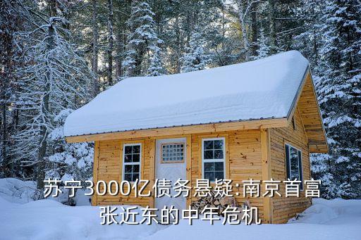  蘇寧3000億債務(wù)懸疑:南京首富張近東的中年危機(jī)