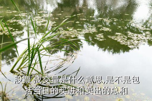  股票 成交量是什么意思,是不是包括當(dāng)日的買(mǎi)進(jìn)和賣(mài)出的總和