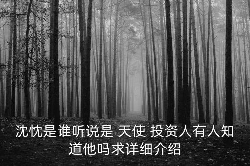 沈忱是誰聽說是 天使 投資人有人知道他嗎求詳細介紹