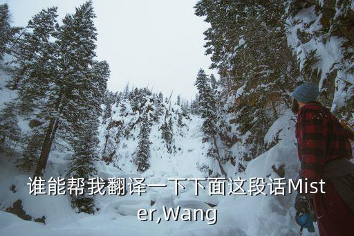 誰能幫我翻譯一下下面這段話Mister,Wang