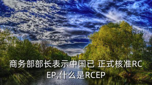 商務(wù)部部長(zhǎng)表示中國(guó)已 正式核準(zhǔn)RCEP,什么是RCEP