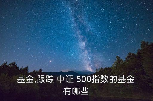 基金,跟蹤 中證 500指數(shù)的基金有哪些