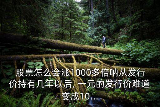  股票怎么會漲1000多倍吶從發(fā)行價持有幾年以后, 一元的發(fā)行價難道變成10...