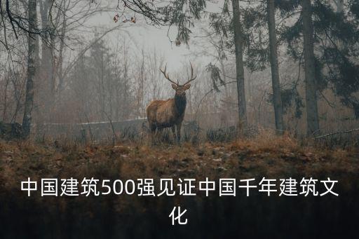 中國(guó)建筑500強(qiáng)見(jiàn)證中國(guó)千年建筑文化