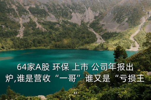 64家A股 環(huán)保 上市 公司年報出爐,誰是營收“一哥”誰又是“虧損王”