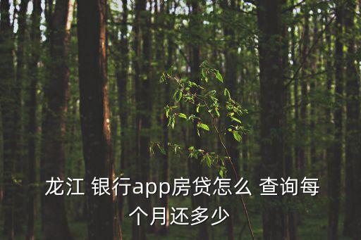  龍江 銀行app房貸怎么 查詢每個(gè)月還多少