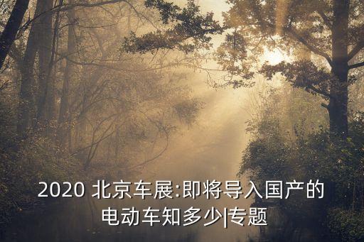 2020 北京車展:即將導(dǎo)入國(guó)產(chǎn)的 電動(dòng)車知多少|(zhì)專題