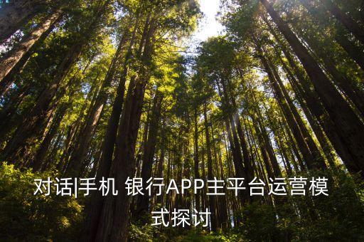 對話|手機(jī) 銀行APP主平臺運(yùn)營模式探討