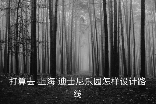 打算去 上海 迪士尼樂(lè)園怎樣設(shè)計(jì)路線