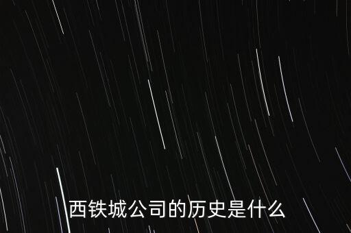  西鐵城公司的歷史是什么