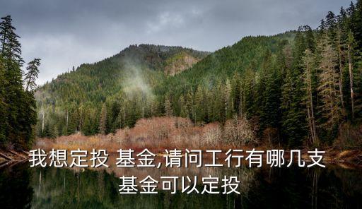 我想定投 基金,請(qǐng)問工行有哪幾支 基金可以定投