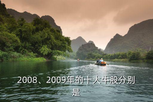 2008、2009年的十大牛股分別是