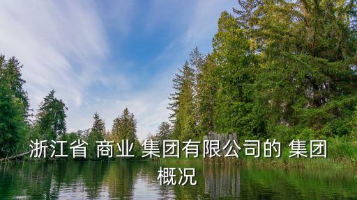 浙江省 商業(yè) 集團有限公司的 集團概況