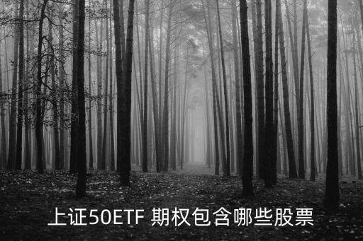 上證50ETF 期權(quán)包含哪些股票