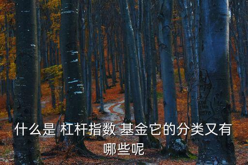 什么是 杠桿指數(shù) 基金它的分類又有哪些呢