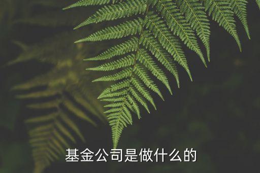 董事會基金管理,關于基金管理公司董事會應履行的風險