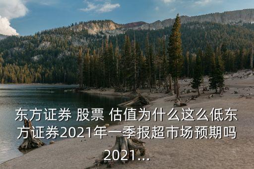 東方證券 股票 估值為什么這么低東方證券2021年一季報超市場預期嗎2021...