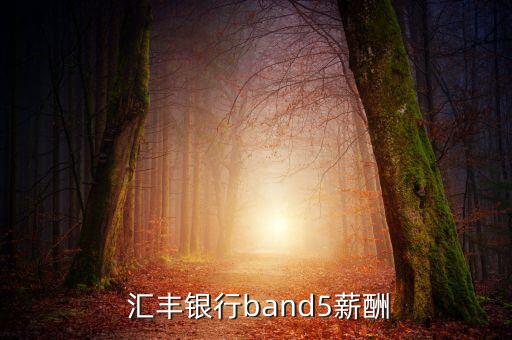  匯豐銀行band5薪酬