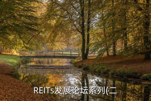 REITs發(fā)展論壇系列(二