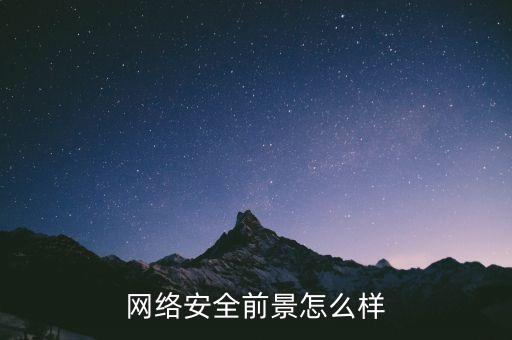 中國信息安全行業(yè)總價值