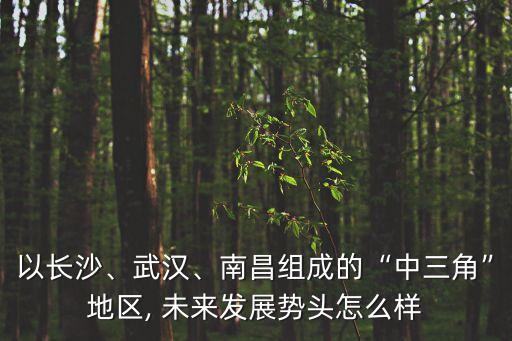 以長(zhǎng)沙、武漢、南昌組成的“中三角”地區(qū), 未來(lái)發(fā)展勢(shì)頭怎么樣