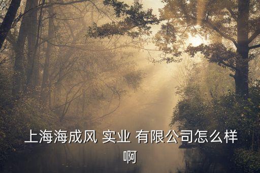 上海豐全實業(yè)有限公司,深圳豐全供應(yīng)鏈管理有限公司