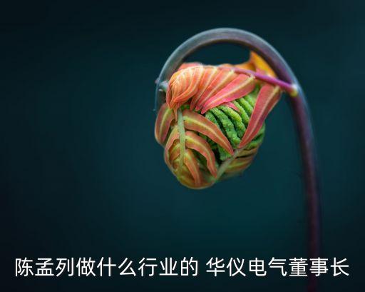 陳孟列做什么行業(yè)的 華儀電氣董事長(zhǎng)