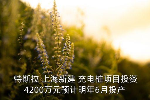  特斯拉 上海新建 充電樁項目投資4200萬元預(yù)計明年6月投產(chǎn)