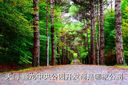 天門 鑫龍中央公園開發(fā)商是哪家公司