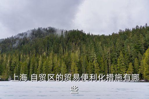  上海 自貿(mào)區(qū)的貿(mào)易便利化措施有哪些