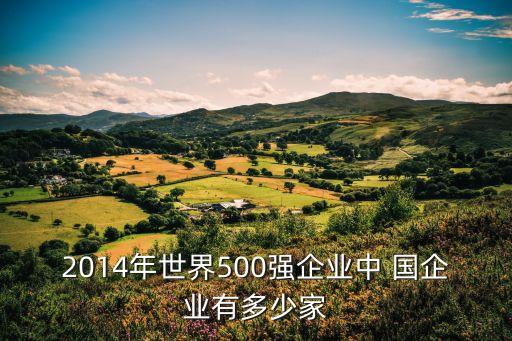 2014年世界500強企業(yè)中 國企業(yè)有多少家