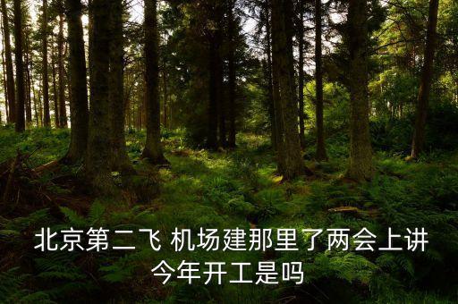  北京第二飛 機場建那里了兩會上講今年開工是嗎