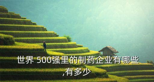  世界 500強里的制藥企業(yè)有哪些,有多少