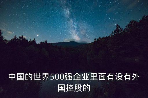 中國的世界500強(qiáng)企業(yè)里面有沒有外國控股的