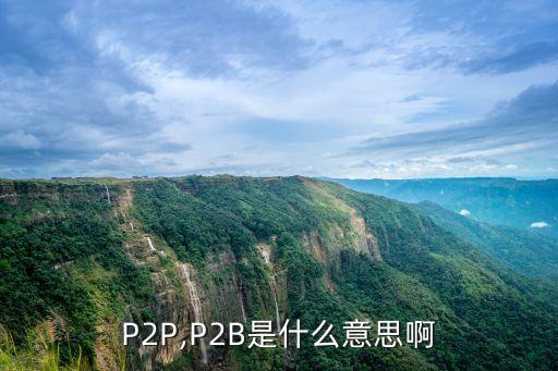 P2P,P2B是什么意思啊