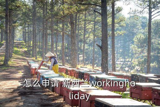 怎么申請 新西蘭workingholiday