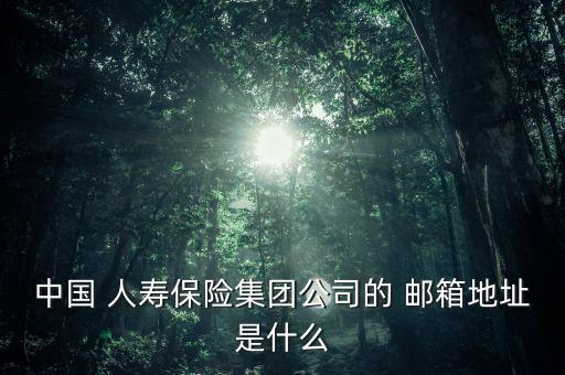 中國 人壽保險集團公司的 郵箱地址是什么