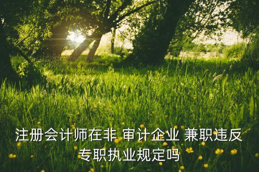 注冊會計師在非 審計企業(yè) 兼職違反專職執(zhí)業(yè)規(guī)定嗎