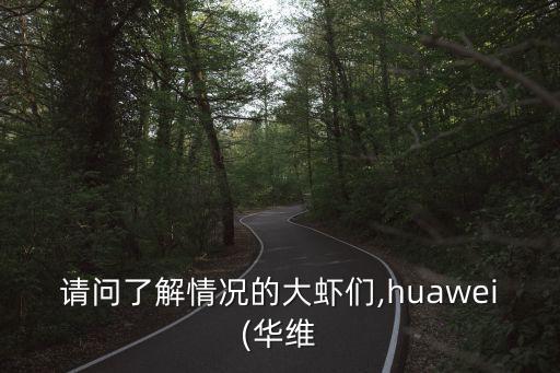 請問了解情況的大蝦們,huawei(華維