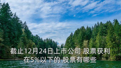 截止12月24日上市公司 股票獲利在5%以下的 股票有哪些