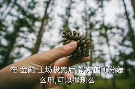 在 金融 工場(chǎng)投完后,饋贈(zèng)的工分怎么用,可以提現(xiàn)么