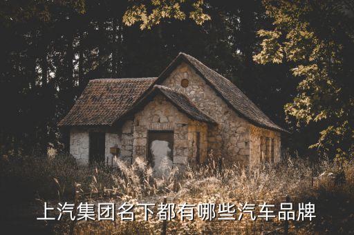 利馳租賃股份有限公司,中國(guó)康富國(guó)際租賃股份有限公司