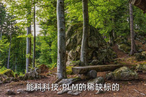 能科科技:PLM的稀缺標的