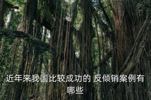 近年來我國比較成功的 反傾銷案例有哪些