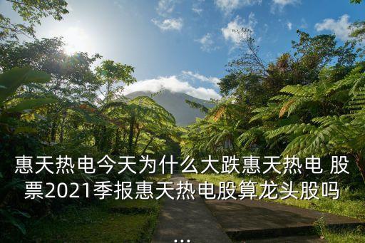 惠天熱電今天為什么大跌惠天熱電 股票2021季報惠天熱電股算龍頭股嗎...