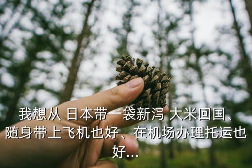 我想從 日本帶一袋新瀉 大米回國、隨身帶上飛機也好、在機場辦理托運也好...